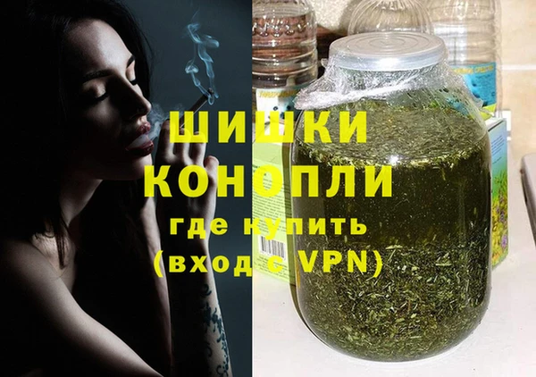 индика Протвино