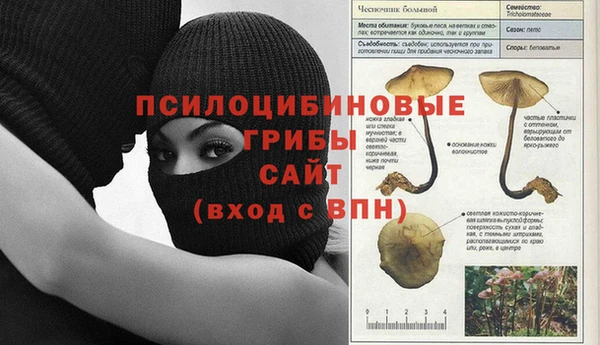 mdpv Вязьма