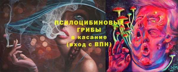 метадон Вяземский