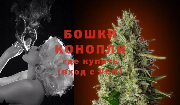 метадон Вяземский