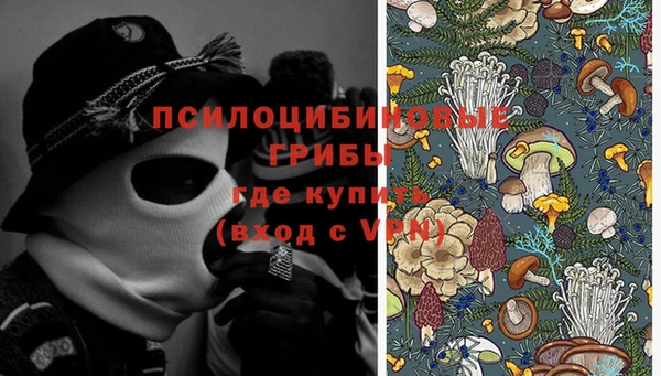 mdpv Вязьма
