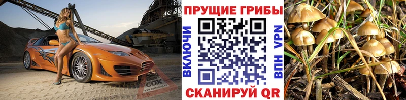 Псилоцибиновые грибы GOLDEN TEACHER  Коломна 